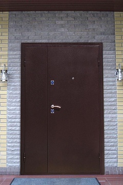 Входная дверь Лион-199